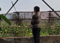Công an huyện Yên Dũng phát hiện 01 phụ nữ trồng 70 cây thuốc phiện trên tầng 2 của gia đình