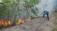 Công an huyện Yên Dũng: Cảnh báo cháy rừng và các biện pháp phòng cháy, chữa cháy rừng