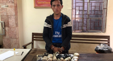 Sơn La bắt giữ đối tượng mua bán thuốc phiện và ma túy tổng hợp
