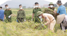 Đoàn thanh niên, Hội phụ nữ công an huyện Việt Yên giúp các hộ gia đình đang trong diện cách ly y tế tại xã Tiên Sơn thu hoạch nông sản