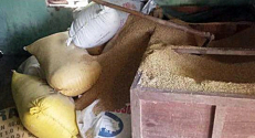Người phụ nữ trình báo mất 50 cây vàng giấu trong đống lúa