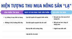 Cảnh giác với hoạt động thu mua mặt hàng nông sản lạ của thương nhân nước ngoài