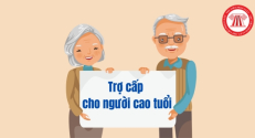 Người cao tuổi đang hưởng trợ cấp xã hội có được hưởng thêm trợ cấp hưu trí xã hội?