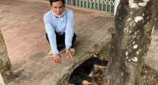 Yên Thế: Tạm giữ 01 đối tượng “trộm chó” xảy ra tại xã Đồng Kỳ